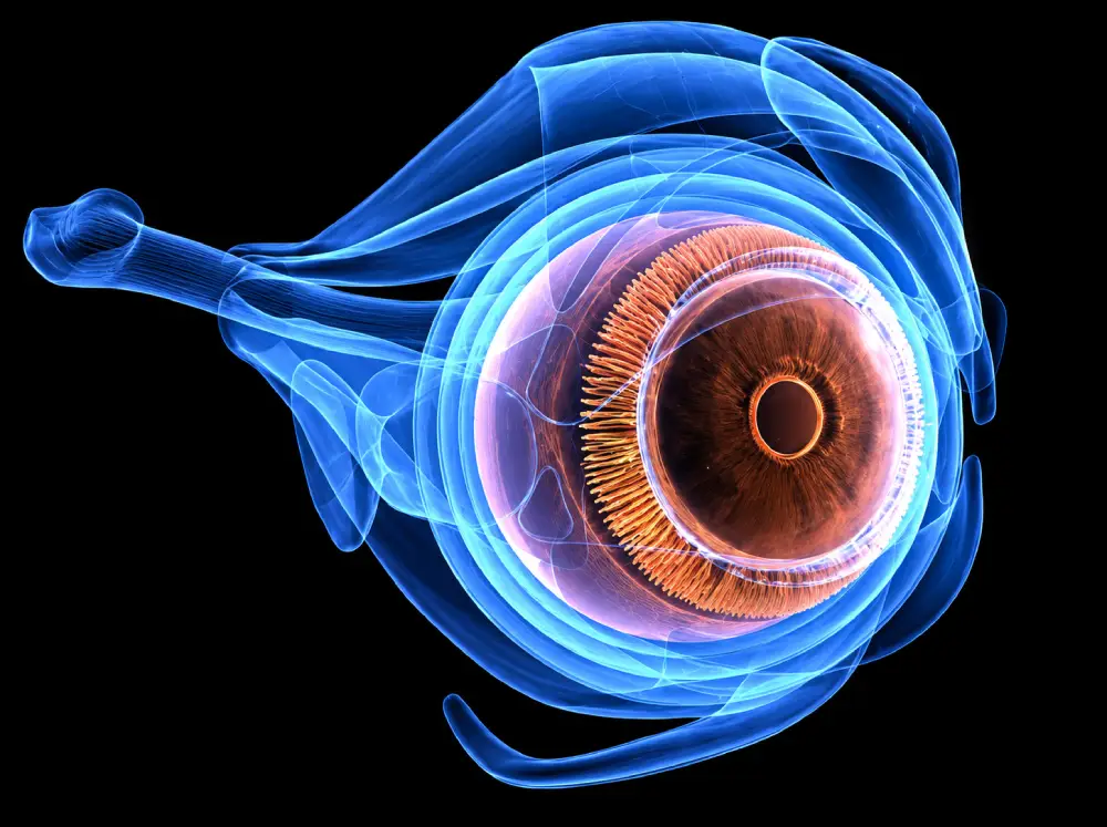 Glaucoma Treatment